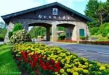 Captura de tela 2023-12-12 111742 gramado flores