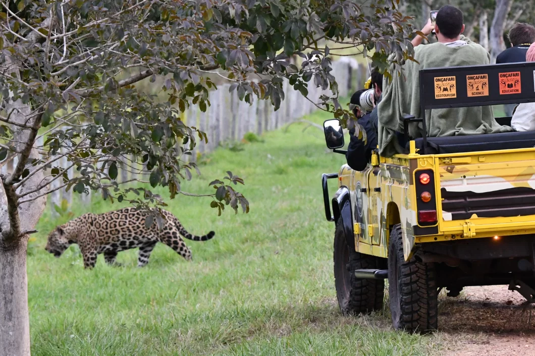 pantanal4