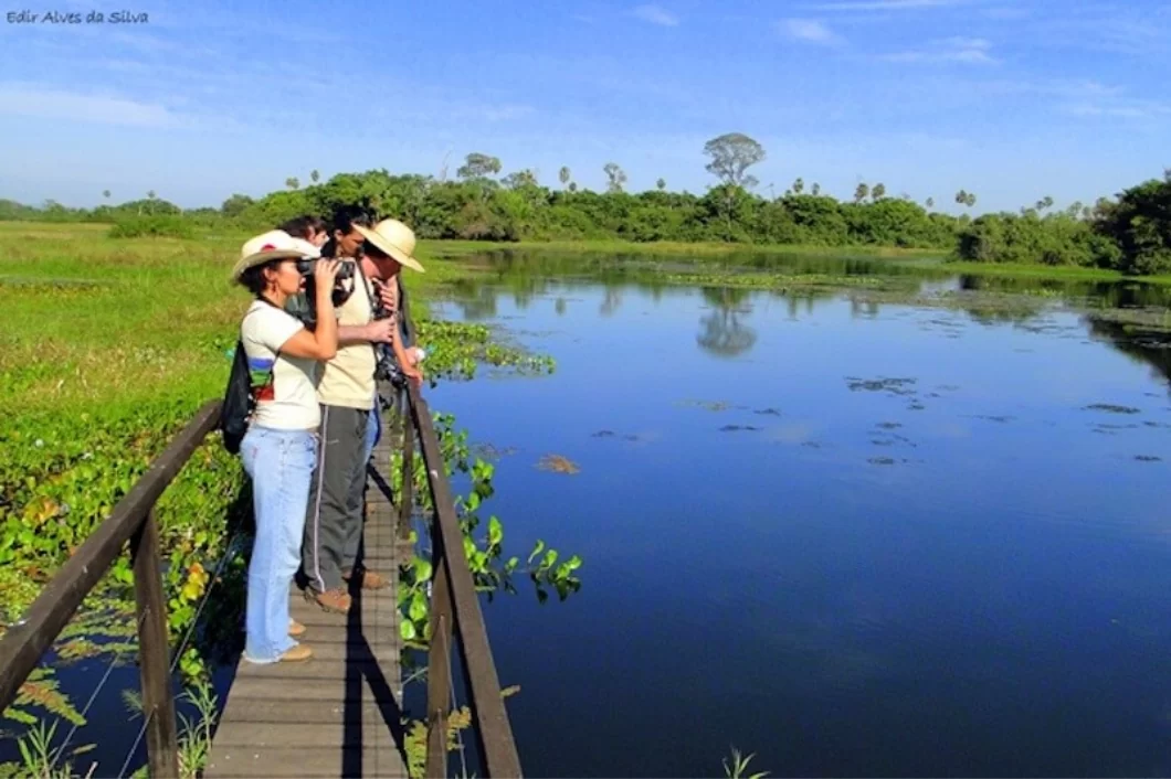 pantanal5