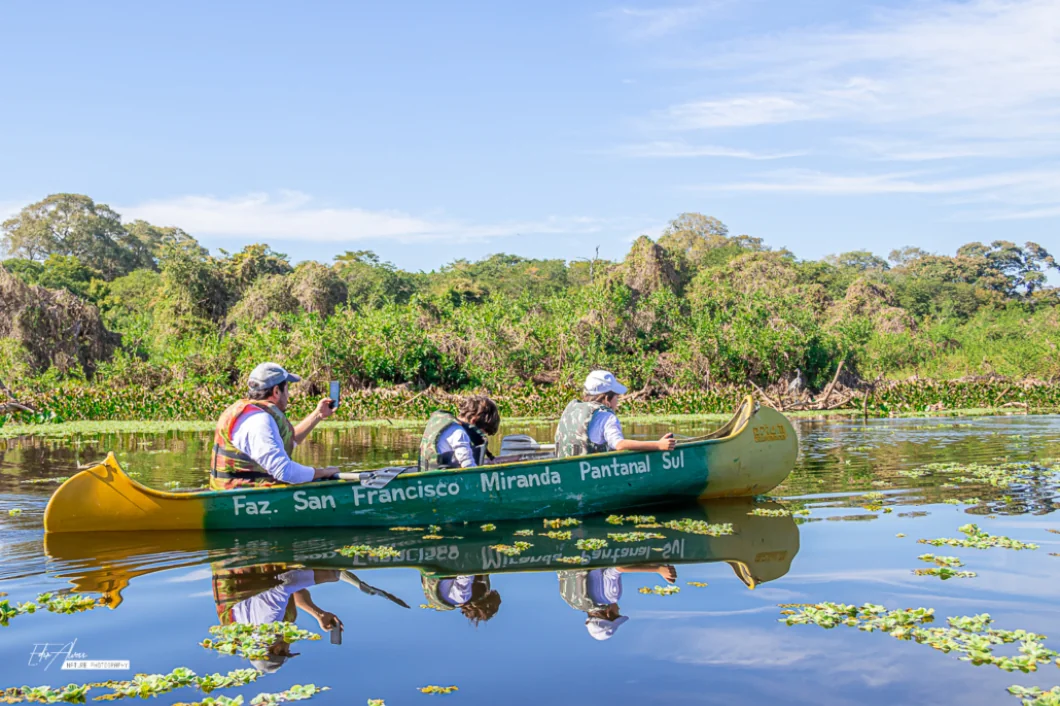 pantanal4 (1)